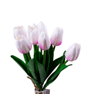 Букет тюльпан 7 гілок,біло-рожевий, 34 см.